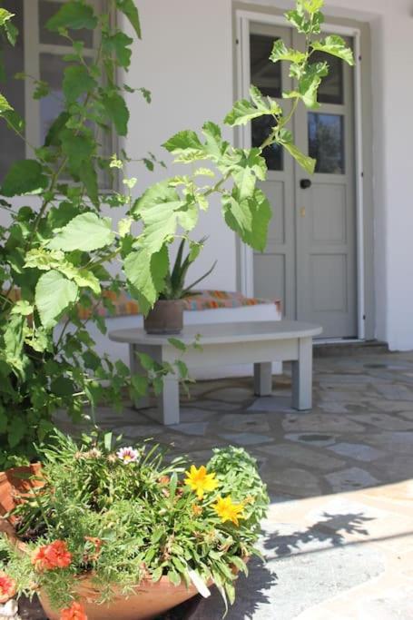 Villa A Casa D' Irene Parikia (Paros)
