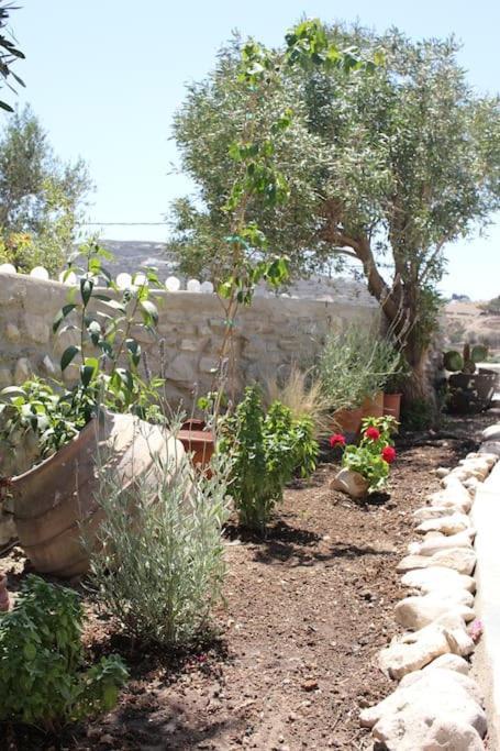 A Casa D' Irene Villa Parikia (Paros)