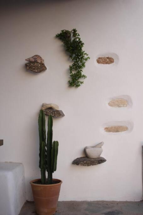 Villa A Casa D' Irene Parikia (Paros)
